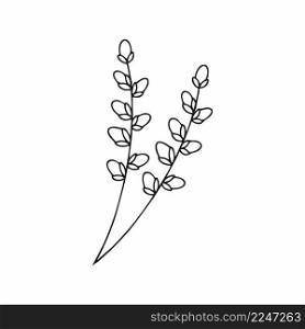 Sprig of willow in the style of Doodle. Hand-drawn sketch of a flowering willow. Vector illustration for the Easter holiday.