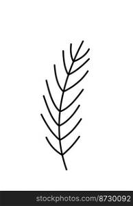 Sprig of winter pine, fir, spruce. Coniferous tree branch vector icon christmas. Hand drawn illustration botanical clipart for decoration, card design, invitation web.. Sprig of winter pine, fir, spruce. Coniferous tree branch vector icon christmas. Hand drawn illustration botanical clipart for decoration, card design, invitation web