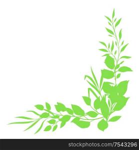 Sprigs with green leaves design element. Decorative natural plants.. Sprigs with green leaves design element.