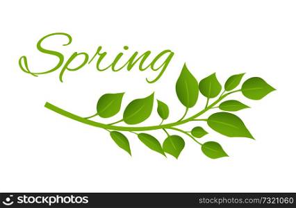 Spring and branch with green leaves on botanical poster. Branch of fresh plant and huge sign in italic isolated cartoon vector illustration on banner.. Spring and Tree Branch with Green Leaves on Poster
