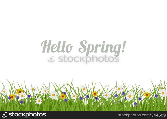 Spring and Summer background. Illustration with green grass and flowers. Spring and Summer background