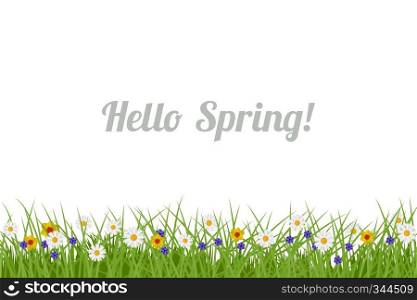 Spring and Summer background. Illustration with green grass and flowers. Spring and Summer background