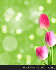 Spring and Summer Tulip Flower Natural Background. Vector Illustration EPS10. Spring and Summer Tulip Flower Natural Background. Vector Illustration