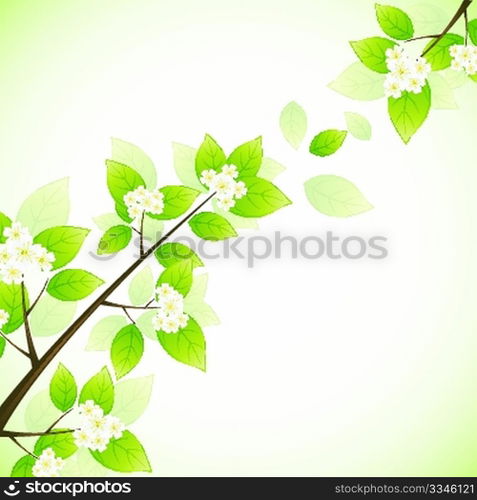 Spring background