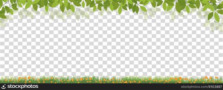 Spring background,Borders and frames Green leaves and Grass fields with orange flowers with copy space on transparent background,Vector Horizon Banner backdrop for Spring, Summer concept