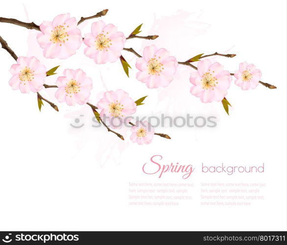 Spring background with a sakura branch. Vector.