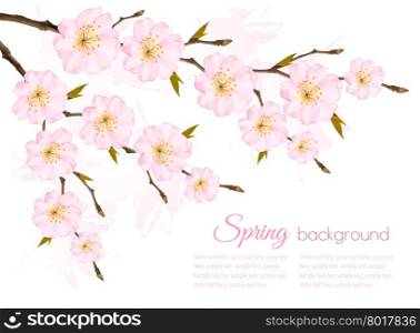 Spring background with a sakura branch. Vector.