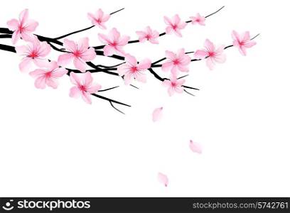Spring background with blossom brunch of sakura. Vector