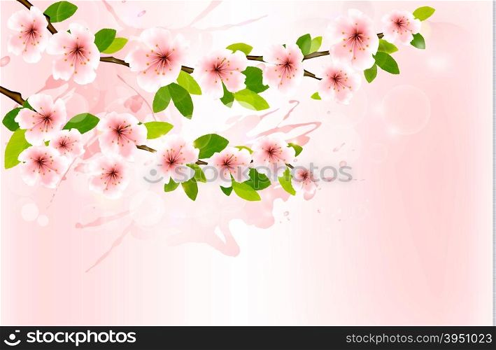 Spring background with blossoming sakura branches. Vector illustration.