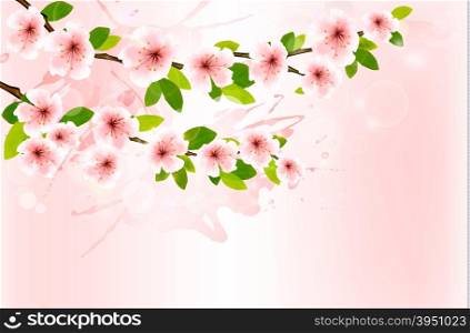 Spring background with blossoming sakura branches. Vector illustration.