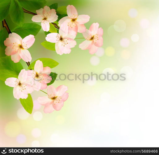 Spring background with blossoming tree brunch with spring flowers. Vector illustration.