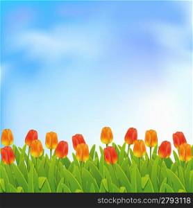 Spring background with blue sky and tulips. Clipping Mask