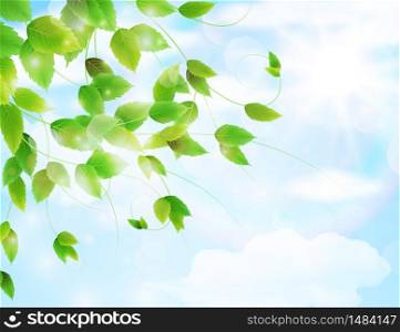 Spring background with fresh green leaves.Vector