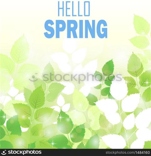 Spring background with fresh green leaves .Vector