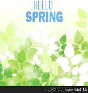 Spring background with fresh green leaves .Vector