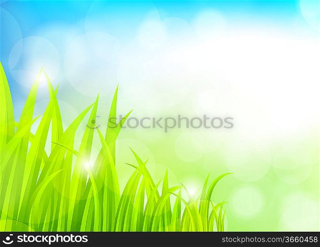 Spring background with grass