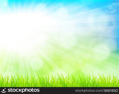Spring background with grass. Bright illustration