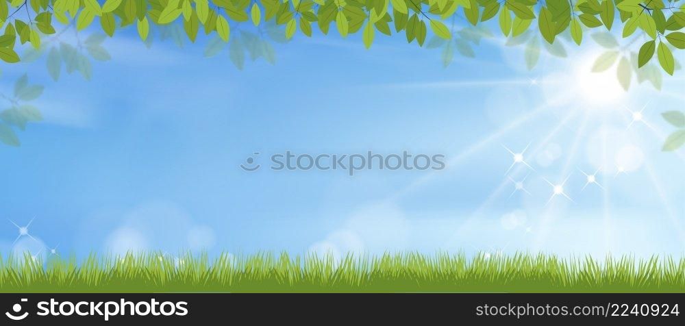 Spring background with grass field landscape, green leaves frame on blue sky background,Vector cartoon with copy space with Sun shining in morning,Backdrop banner for Easter, Spring, Summer Holiday