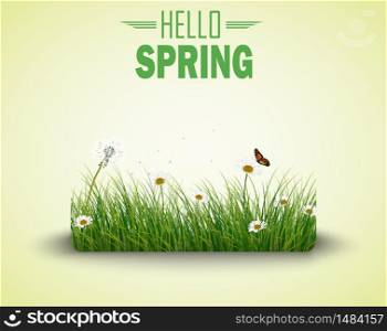 Spring background with Green grass with flowers and butterflies.Vector