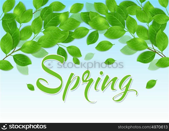 Spring background with green leaves and blue sky