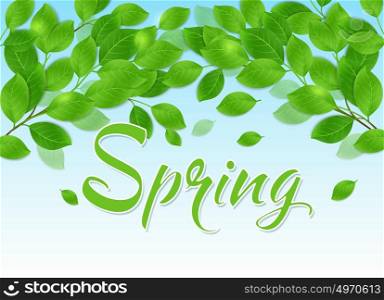 Spring background with green leaves and blue sky