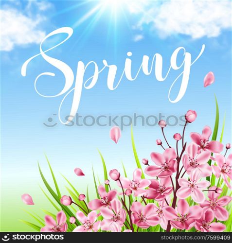 Spring background with pink cherry flowers, green grass and blue sky. Vector illustration.
