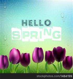 Spring background with purple Tulips flowers.Vector