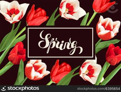 Spring background with red and white tulips. Beautiful realistic flowers, buds and leaves. Spring background with red and white tulips. Beautiful realistic flowers, buds and leaves.