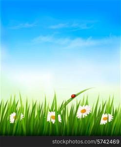 Spring background with sky, flowers, grass and a ladybug. Vector.
