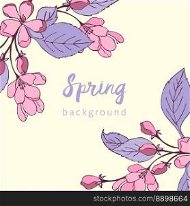 Spring background with violet and pink cherry flowers, banner.