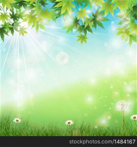 Spring background with white dandelions in grass.Vector