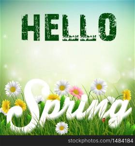 Spring background with word Spring in the grass and flowers.Vector