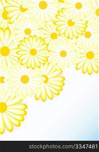 Spring Background - Yellow Daisies on Light Background
