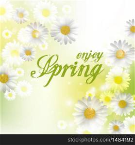 Spring Beautiful background with flowers daisies.Vector