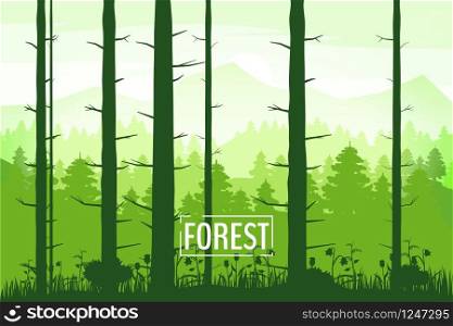 Spring beautiful landscape, forest, silhouettes of tree trunks, green color of foliage. Spring beautiful landscape, forest, silhouettes of tree trunks, green color of foliage. Panorama, horizon, nature. Vector illustration, cartoon style, isolated, banner, template, poster, card