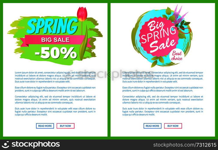 Spring big sale -50 off advertisement label tulip and lilac flowers, cute springtime blooming buds on promo emblems, web page push buttons read and buy. Spring Big Sale -50 Off Advertisement Label Tulip