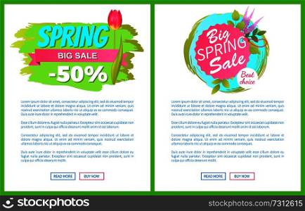 Spring big sale -50 off advertisement label tulip and lilac flowers, cute springtime blooming buds on promo emblems, web page push buttons read and buy. Spring Big Sale -50 Off Advertisement Label Tulip
