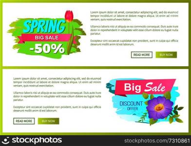 Spring big sale -50 off advertisement label tulip springtime flowers, cute blooming buds on promo emblems isolated on posters with text and push buttons. Spring Big Sale 50 Off Advertisement Label Flowers