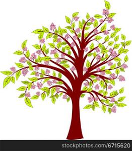 Spring blossoming tree, vector