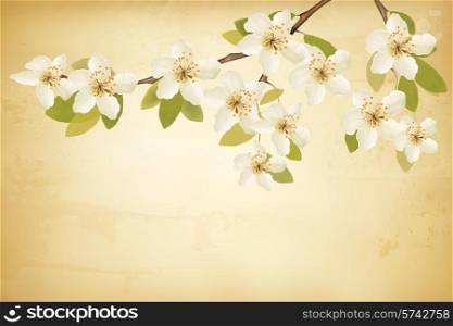 Spring branches with flowers on vintage background. Vector.