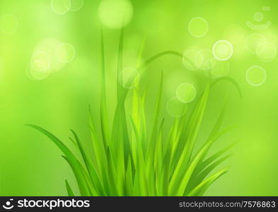 Spring bright green background with fresh spring grass. Blur and bokeh effect. Vector illustration EPS10. Spring bright green background with fresh spring grass. Blur and bokeh effect. Vector illustration