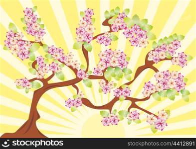 Spring card with sakura. vector illustration . blossom background