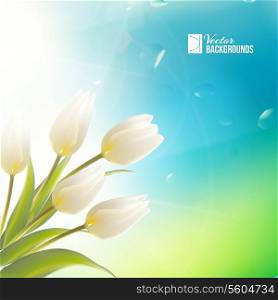 Spring card with white tulips. Vector illustration.