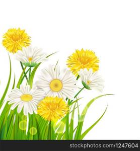 Spring chamomile and dandelions background fresh green grass. Fresh spring juicy chamomile and dandelions flowers and green grass, vector, template, illustration, isolated