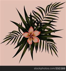Spring composition frangipani (plumeria) flowers and tropical leaves. Vector botanical print.