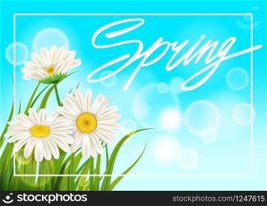 Spring daisies background fresh green grass, pleasant juicy spring colors. Spring daisies background fresh green grass, pleasant juicy spring colors. Spring handwriting Lettering. Vector, template, illustration, isolated
