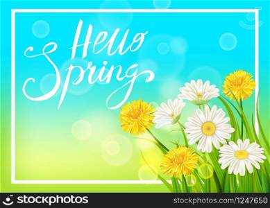 Spring daisies, chamomiles dandelions juicy green lettering Spring grass background. Spring daisies, chamomiles dandelions juicy green lettering Spring grass background Template for banners, web, flyer. Vector illustration isolated.