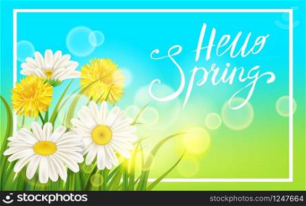 Spring daisies, chamomiles dandelions juicy green lettering Spring grass background. Spring daisies, chamomiles dandelions juicy green lettering Spring grass background Template for banners, web, flyer. Vector illustration isolated.