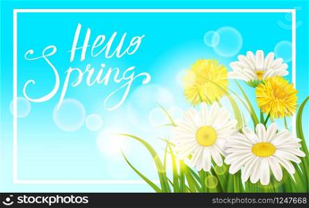 Spring daisies, chamomiles dandelions juicy green lettering Spring grass background. Spring daisies, chamomiles dandelions juicy green lettering. Spring grass background Template for banners, web, flyer. Vector illustration isolated.