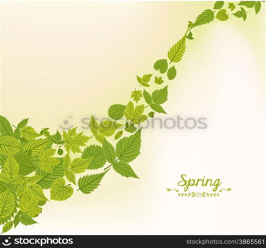 spring fall leaves background